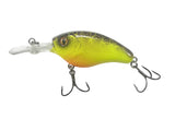Medium diving crank bait (coffin bill)