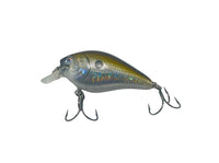 1.5” square bill crank bait