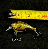 1.5” square bill crank bait