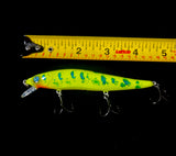 Large jerk bait