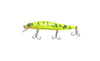 Large jerk bait