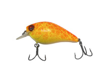 1.5” square bill crank bait