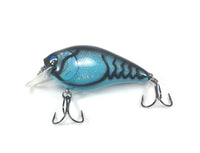 1.5” square bill crank bait