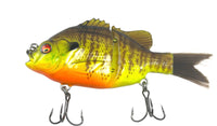 Swim bait (5 inch) “sinking”