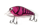 2.5” square bill crank bait