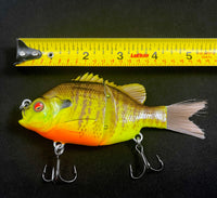 Swim bait (5 inch) “sinking”