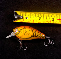 1.5” square bill crank bait