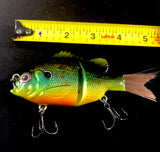 Swim bait (5 inch) “sinking”