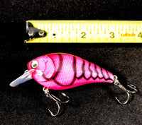 2.5” square bill crank bait